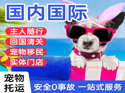 黄山屯溪空运地址国际宠物托运 【国